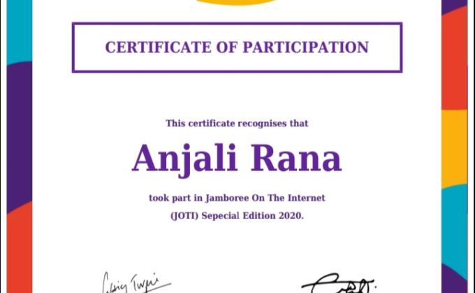 Project Sankalp [D] Digital Scouting Guiding : Challenge 1 - # Special Joti, 3-5 April 2020