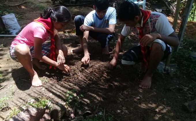 Let's grow plants