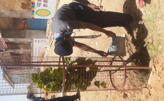 पर्यावरण स्थिरता