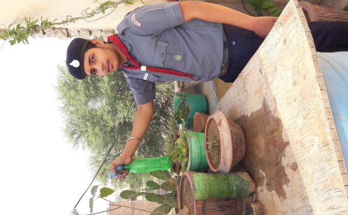 Watering plants at home in lockdown..