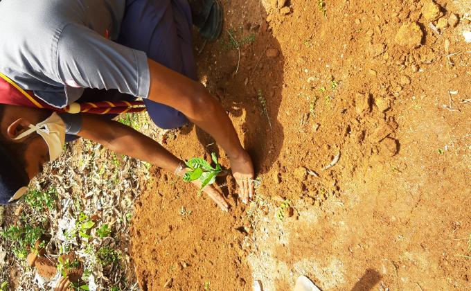 Celebrating World Environment Day 