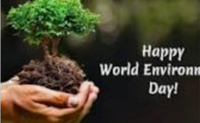 WORLD ENVIRONMENT DAY 2020: BIODIVERSITY 
