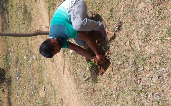 Tree Plantation to celebrate World environment day 