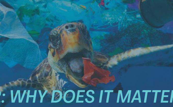 Litter...Why Does It Matter??? [TTPC]