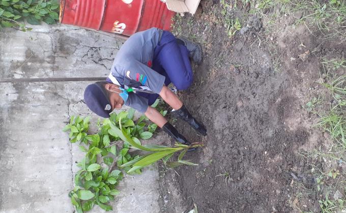 on my birthday. tree plantation 