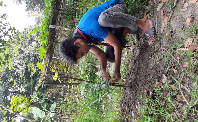 বৃক্ষরোপন কর্মসুচি