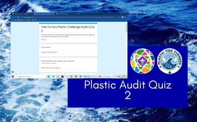 Plastic Audit Quiz 2