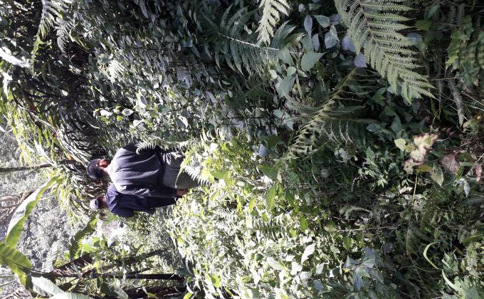 Cleaning Water Source