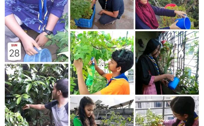 Scouts are taking care of trees during lockdown.