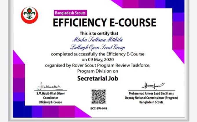 Efficiency E - course