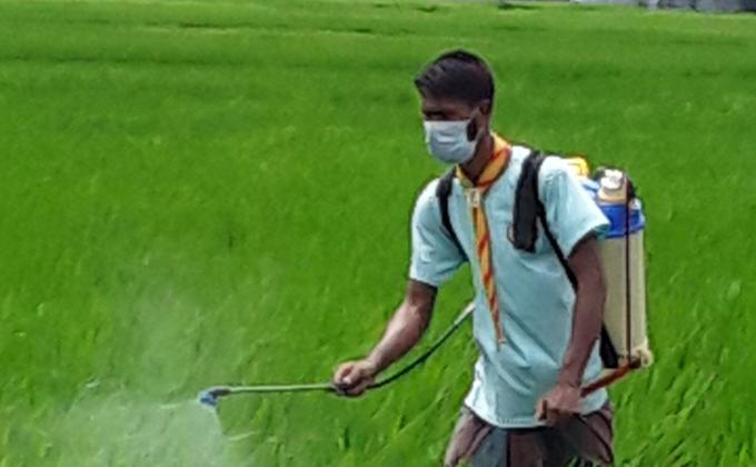 কীটনাশক  স্প্রে