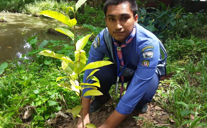 TREE PLANTATION ACTIVITIES