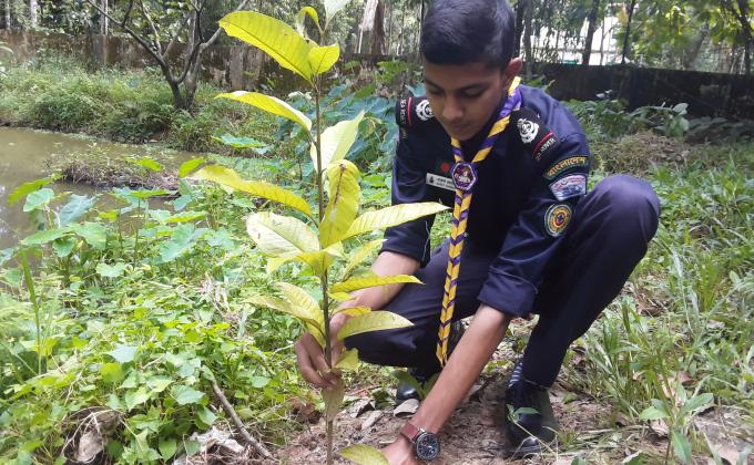 Tree Plantation Program... Making the World Green 