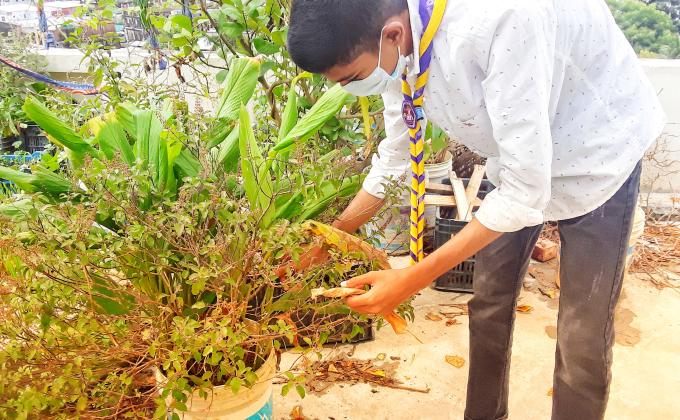 Making Earth Geen Again... Planting and caring of Trees in Own Garden 