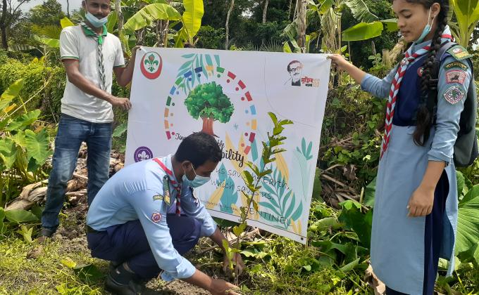 Tree Plantation