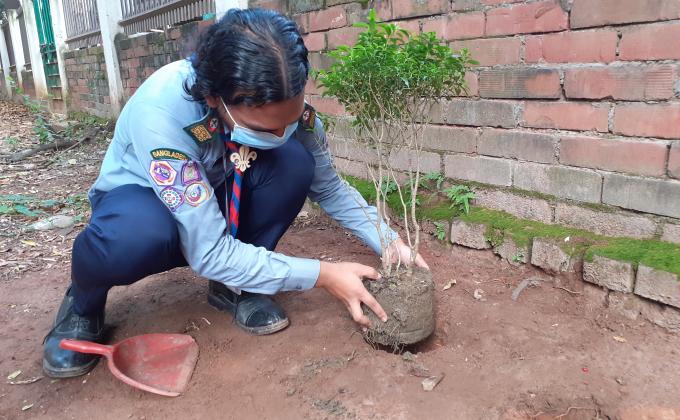 বৃক্ষ রোপণ কর্মসূচি ২০২০