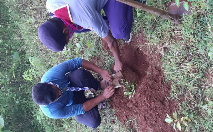 Celebrating International Peace Day 2020