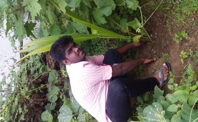 BP'S BIRTHDAY TREE PLANTING 