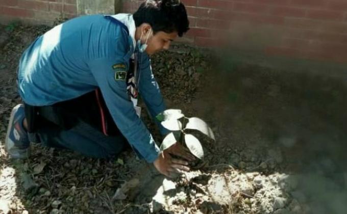 বৃক্ষ রোপণ 