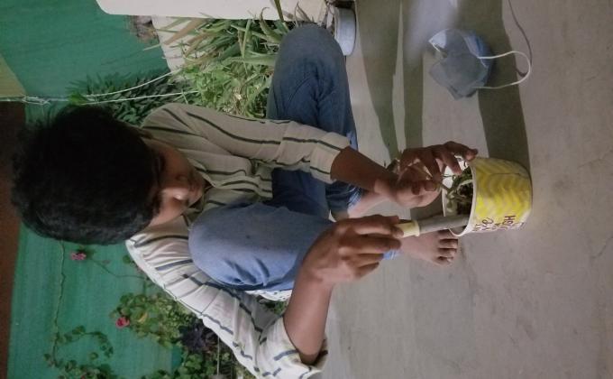 spreading peace through scouting