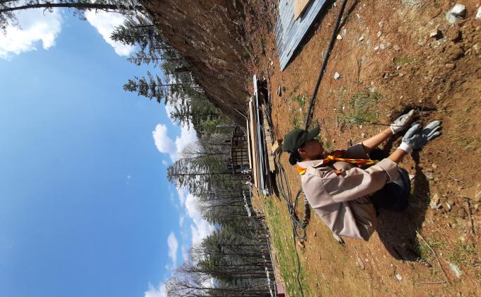 plantation of grass, saplings, flowers and fruit trees