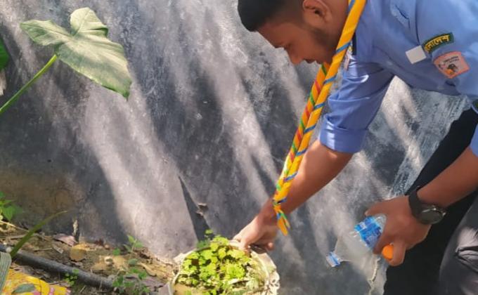 ডেঙ্গু প্রতিরোধ