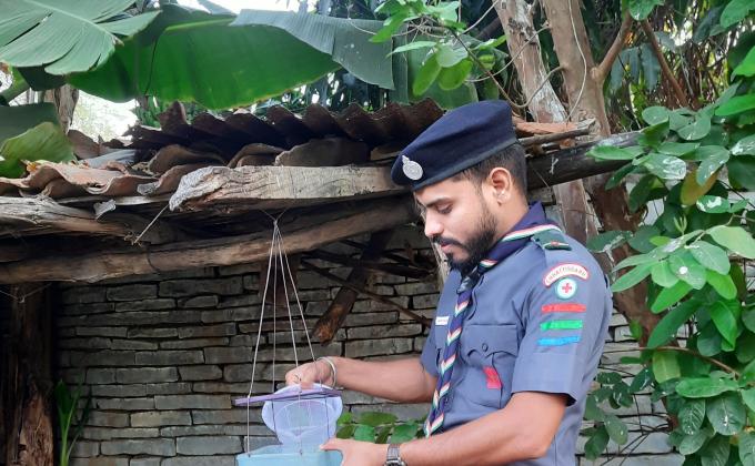 Food and water system for animal birds