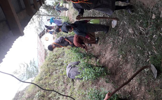 Making Flower garden in the school