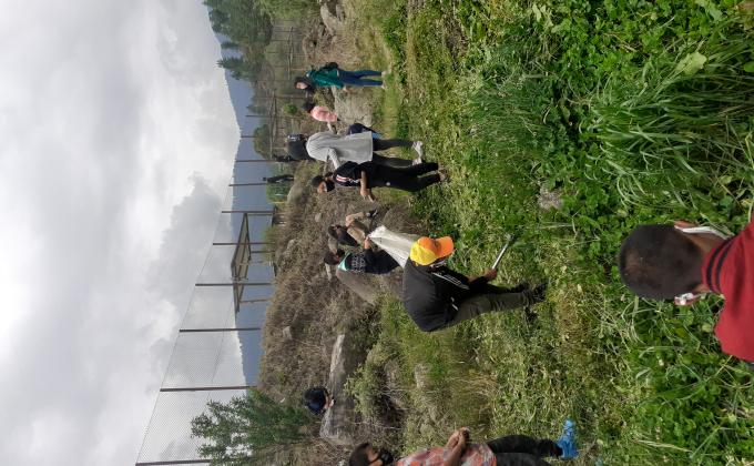 Uprooting of marijuana plants in school campus