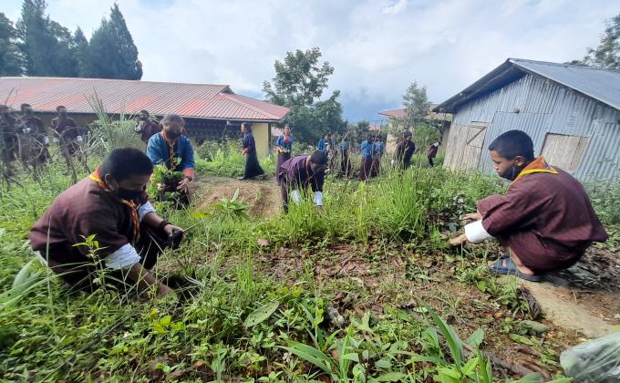 Trees can Recharge and Refresh Live