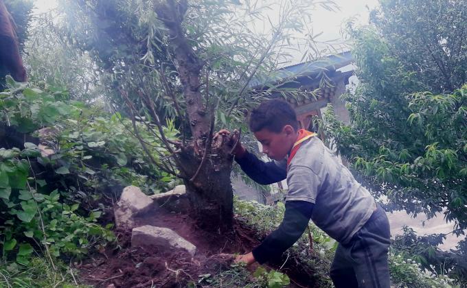 Social forestry day celebration 2021