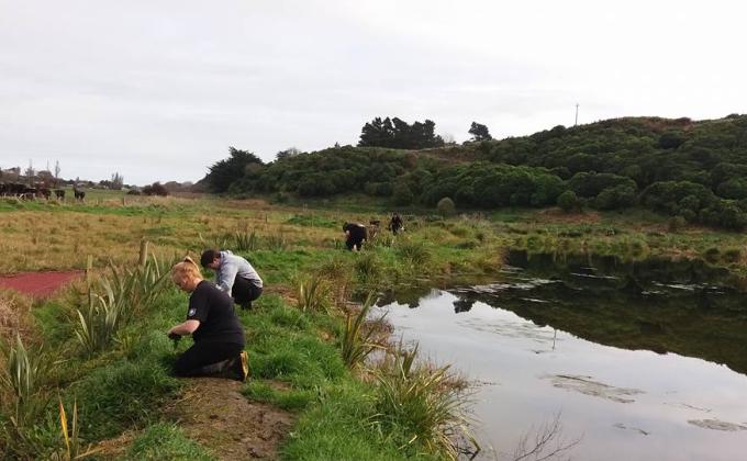 Wetlands Project - World Scout Environment Programme