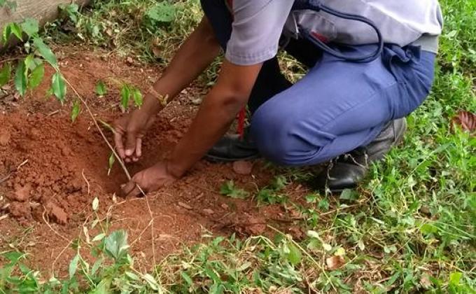 Let's make the world GREEN