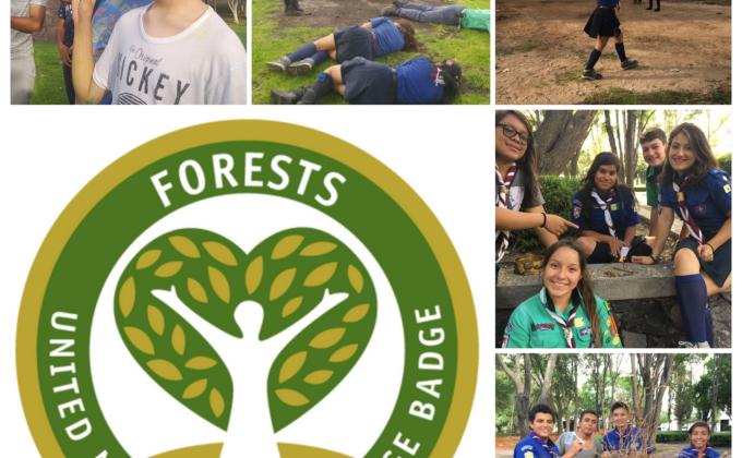 Insignia de los bosques - Caminantes Provincia Querétaro