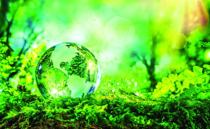 THINGS THAT I DID IN COVID - 19 PANDEMIC