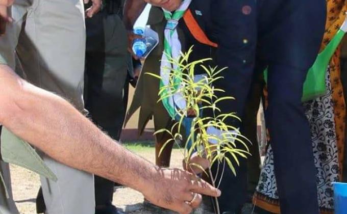 PLANT FOR PEACE
