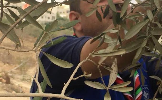 Al-Najah troops helping the villagers in picking the olives