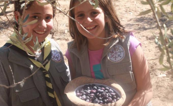 مجموعة مرشدات الصداقة تشارك في قطف ثمار الزيتون 