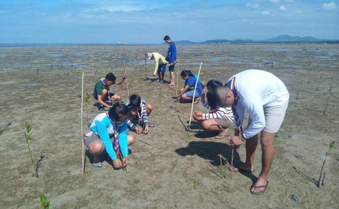 Mangrove Tree Planting