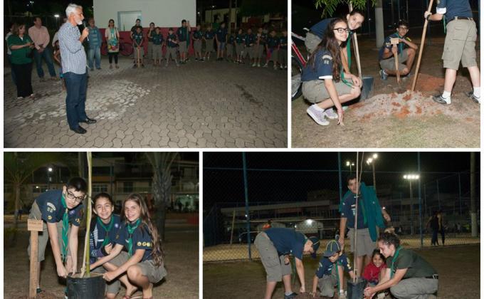 Jequitibá Rosa, Arvore Símbolo do Espirito Santo