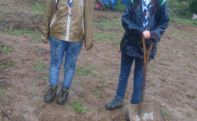 Reforestación con COBOCE 