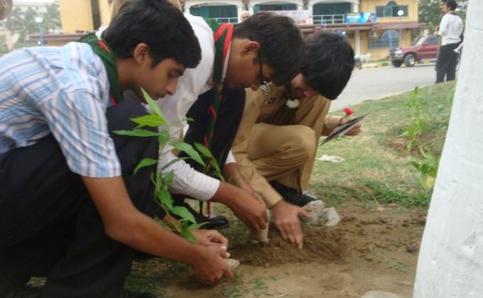 Tree Plantation "Go Green"