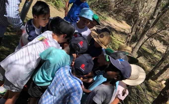 Refugee Friendship Project