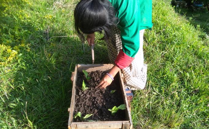 Sustainability growing for future