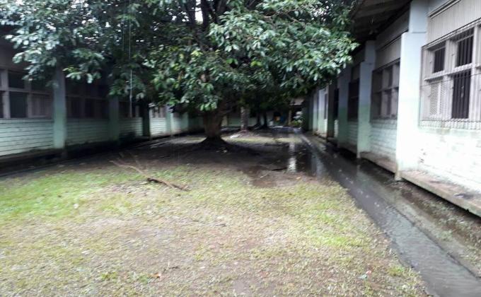 Revitalizando o espaço escolar ''Escola Estadual Lucy Correa Araújo''