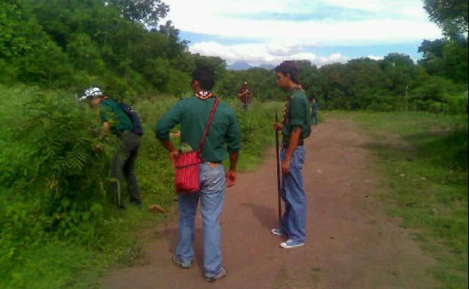 Proyecto de Reforestación Villamar