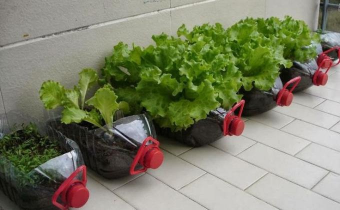 Plastic Tide Turner Challenge Badge: Crafts, with discarded plastic.