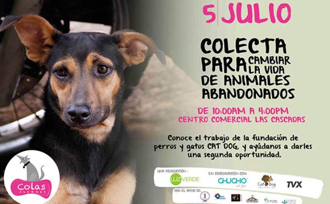 Campaña Colas Alegres