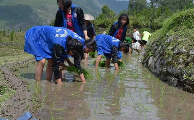 Scouts out to help community people
