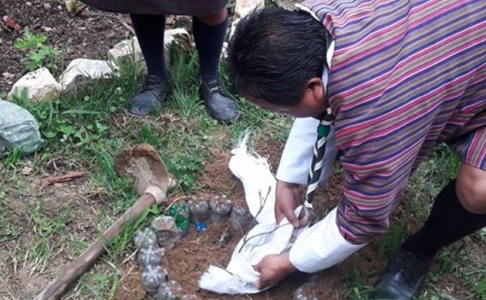 ཤིང་རིགས་གསར་འཛུགས།